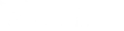 klimaneutrale Website